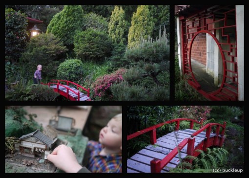 Final visit Collage of garden